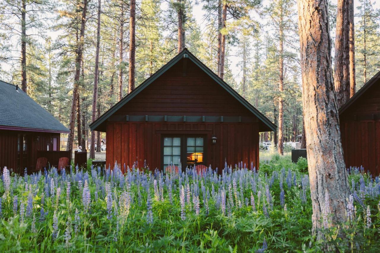 Fivepine Lodge Sisters Exteriör bild