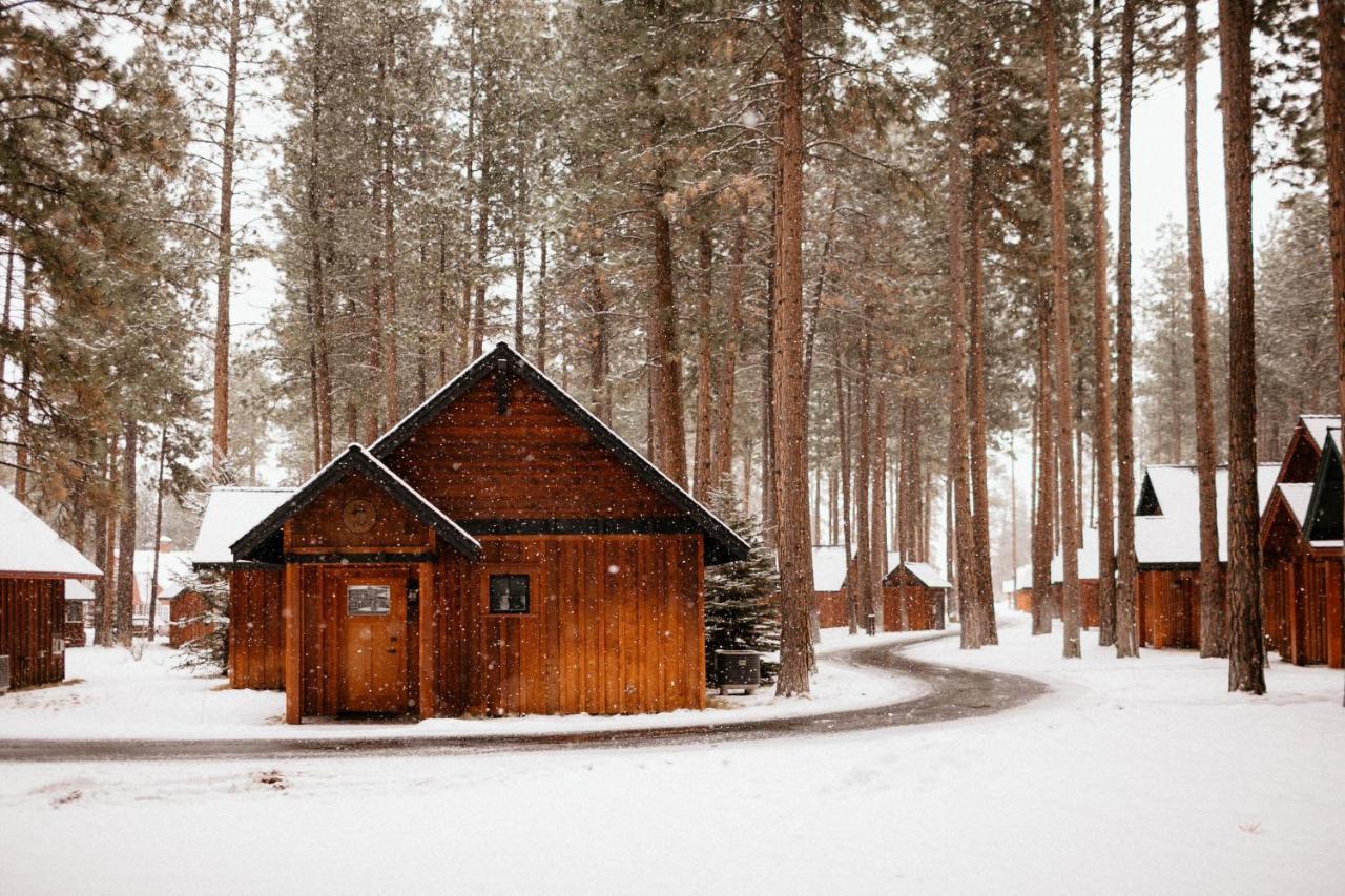 Fivepine Lodge Sisters Exteriör bild