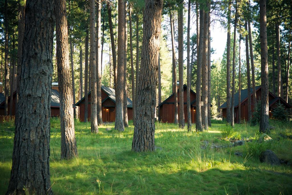 Fivepine Lodge Sisters Exteriör bild
